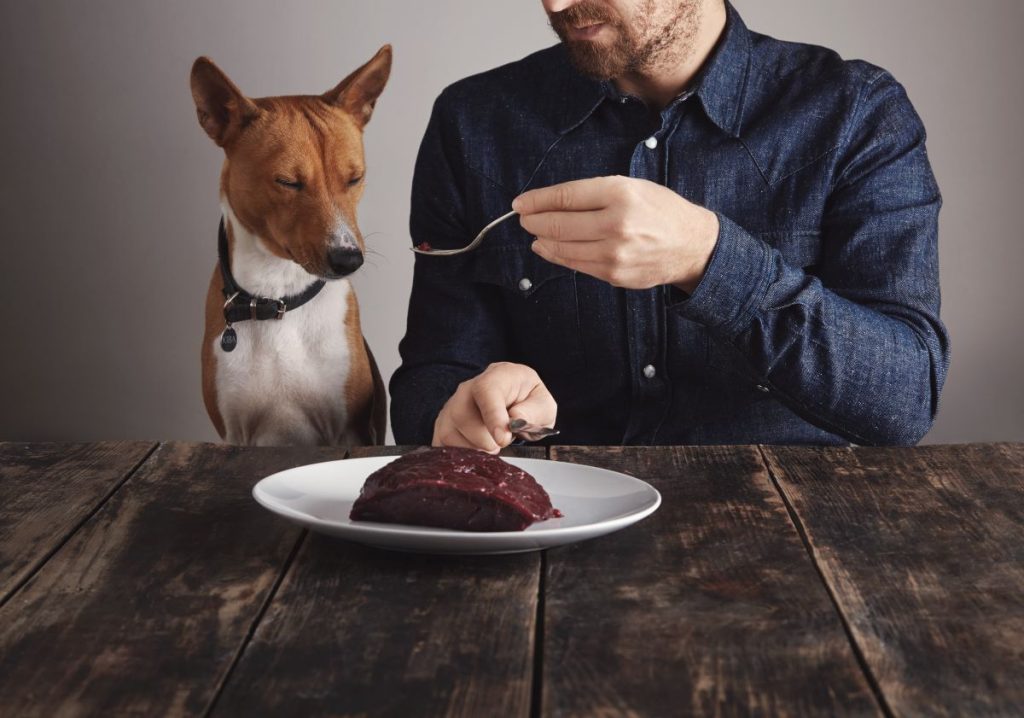 man shares piece of steak for lovely dog 2023 11 27 05 05 28 utc